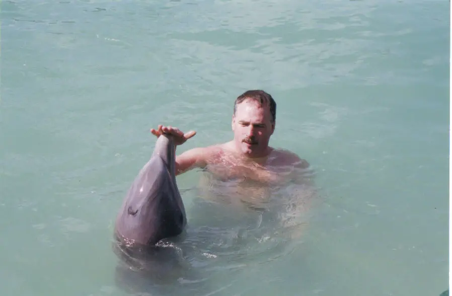 A man in the water holding a dolphin's flipper at a swim-with-dolphins attraction