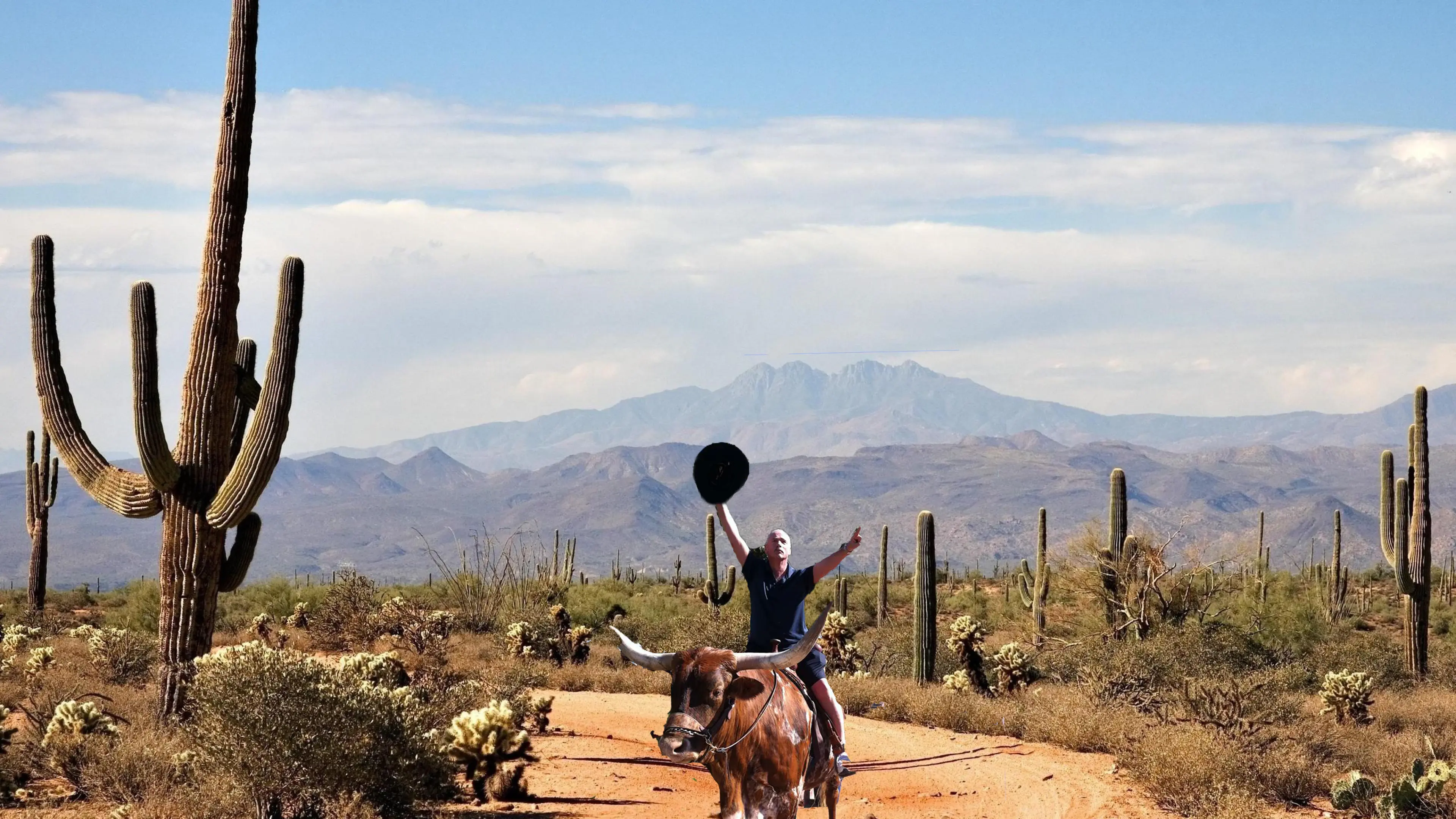 AC on Ox — a composite placing Allan Camp astride a longhorn steer in the Sonoran desert, saguaro cacti and mountains behind